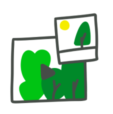 Illustration: satellite monitoring of the forest
