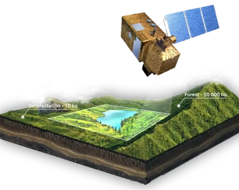 Satellite monitoring forest cover across planting sites