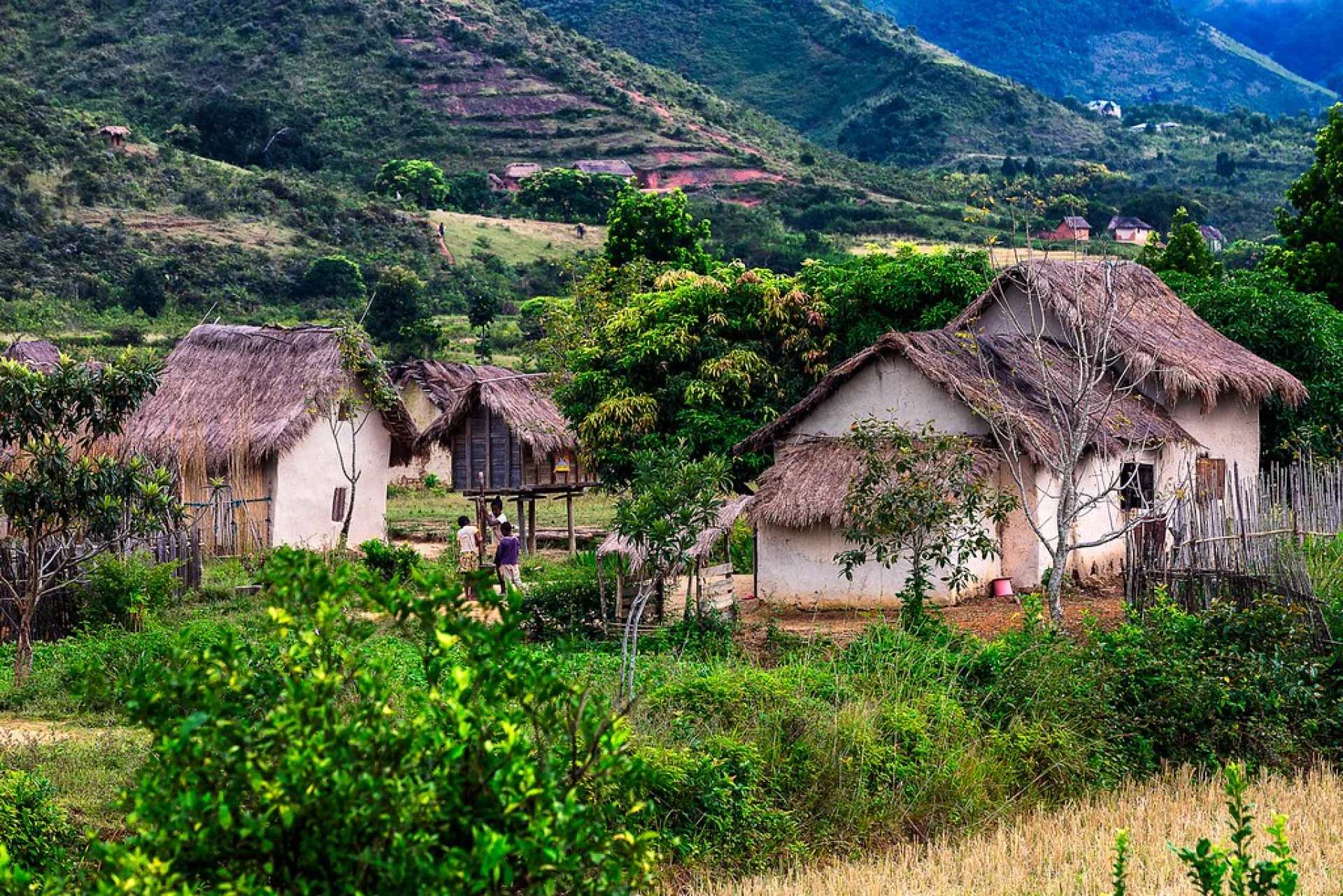 Traditional Malagasy straw-roofed houses in the Vohidahy commune, central-east Madagascar
