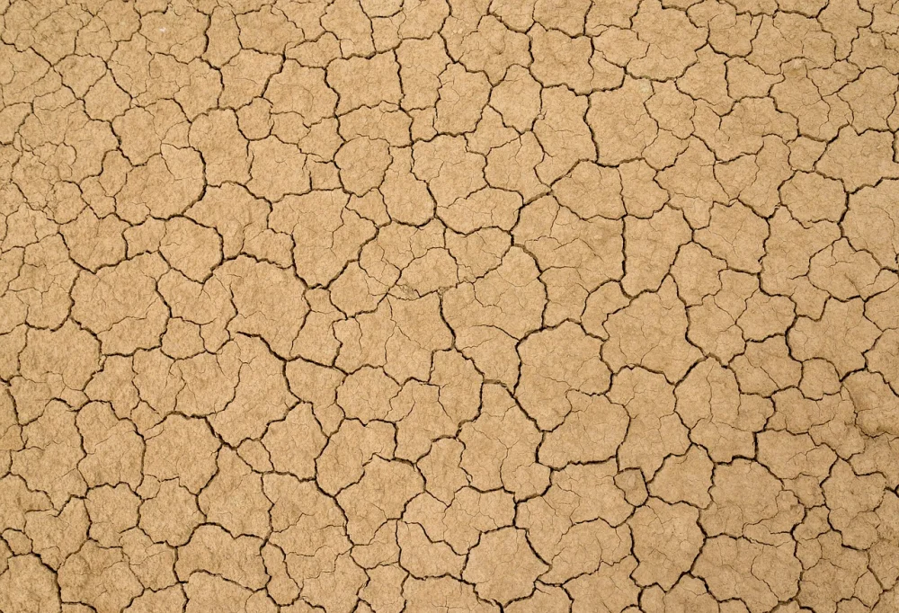 soil