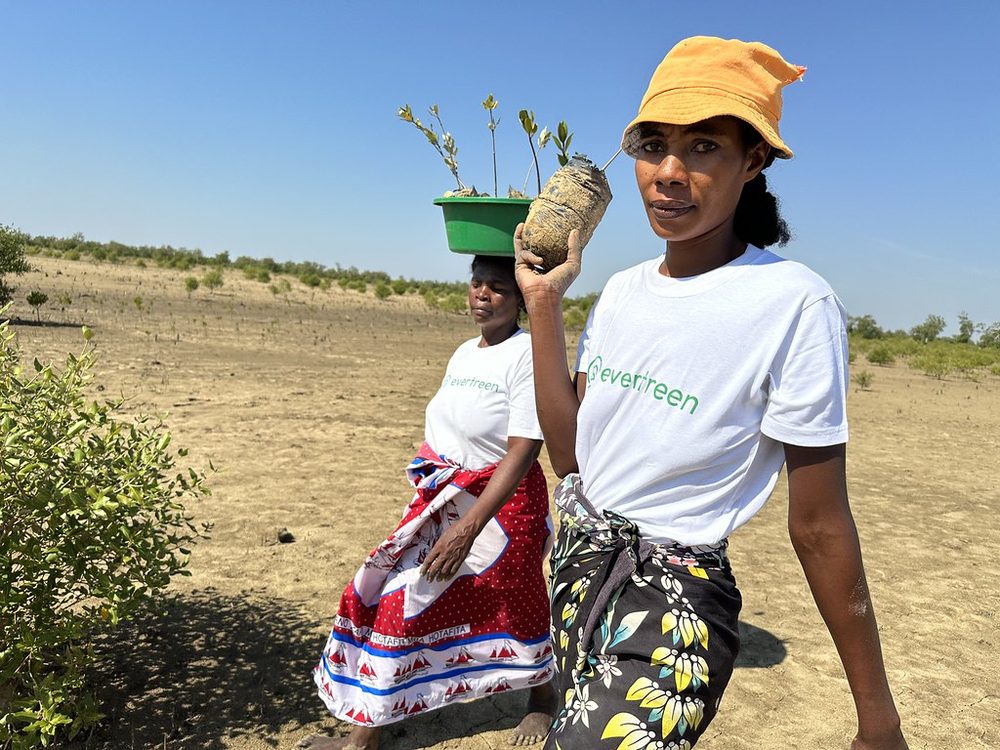 Community members carrying mangrove seedlings to the planting site, Madagascar