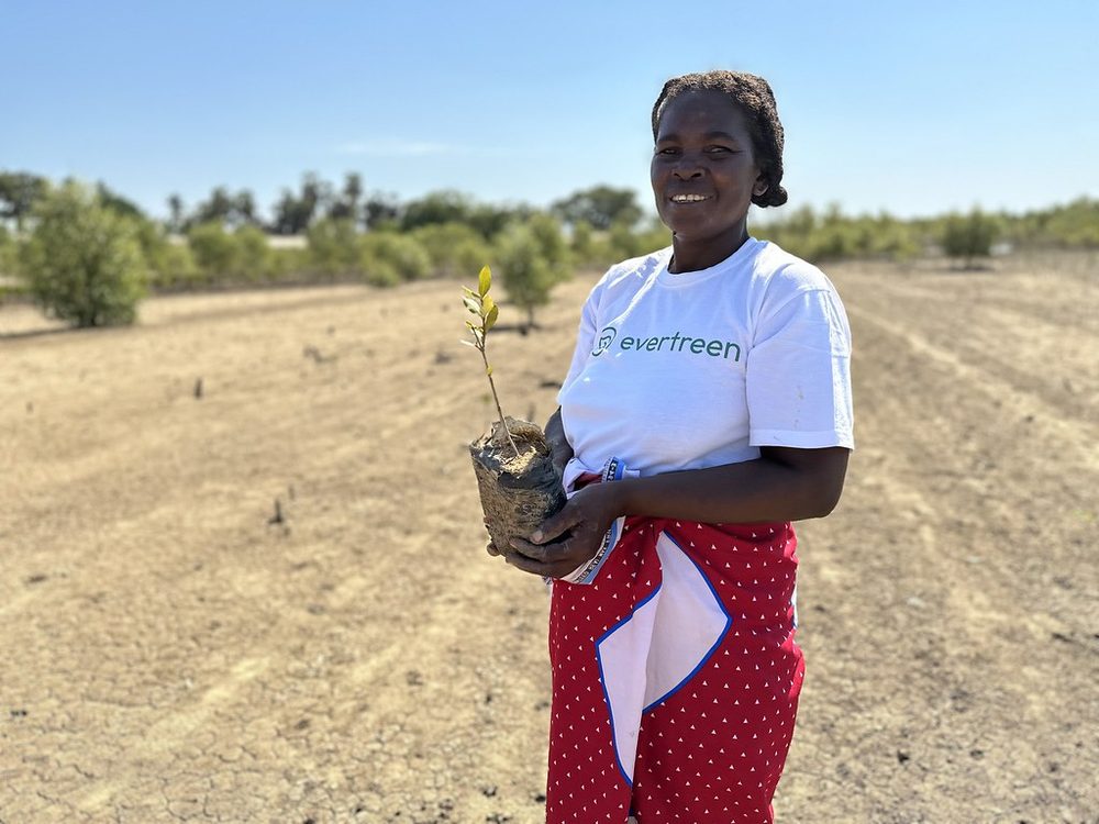 A community member with a mangrove seedling ready to plant, Madagascar