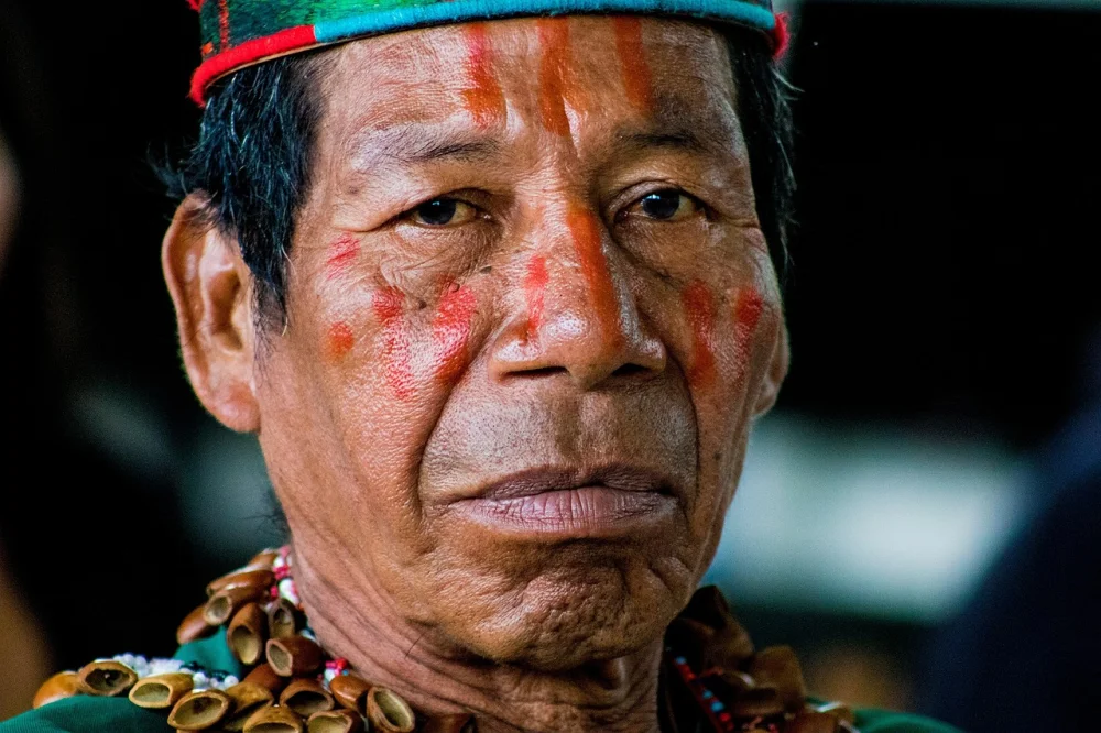 Reforestation, Indigenous Wisdom, and Climate Change Mitigation