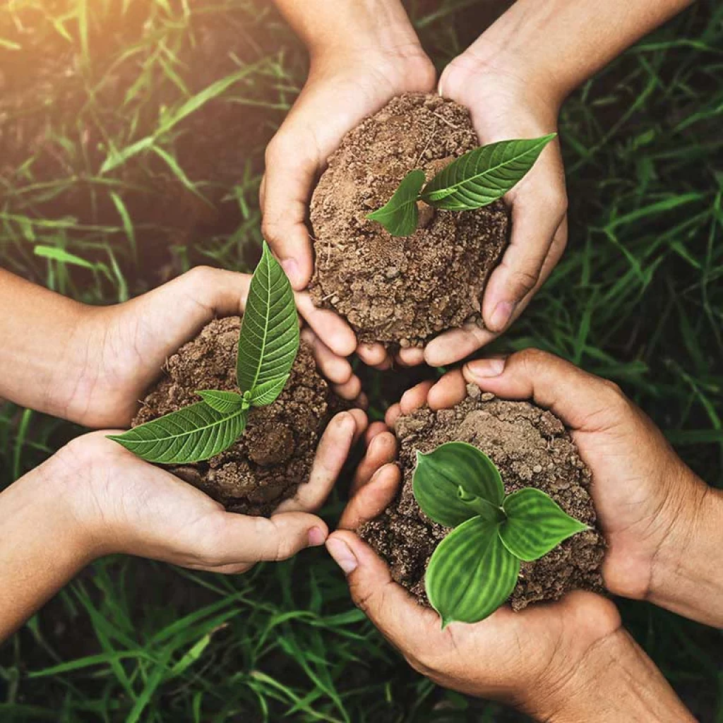 Achieving Net Zero with SDGs and Carbon Offset Standards