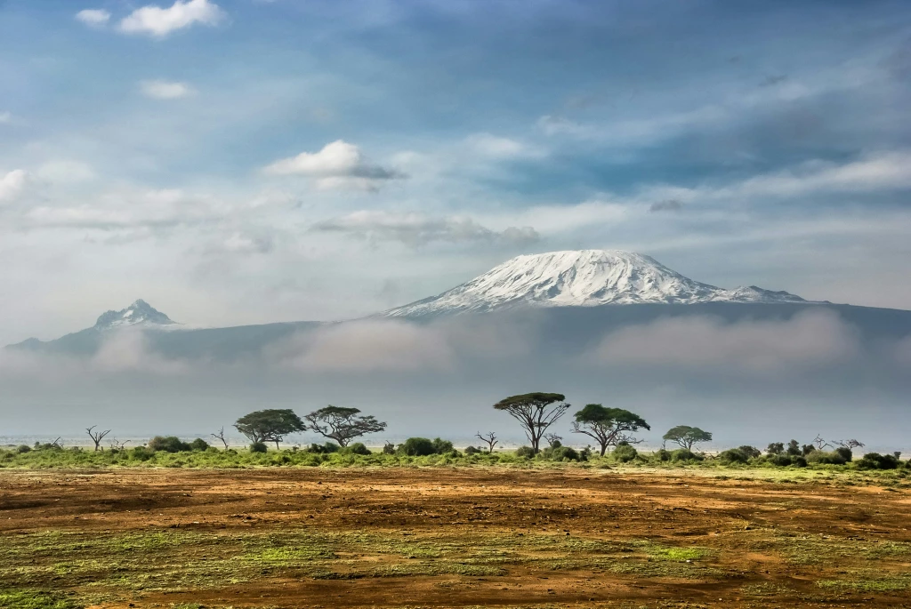 Evertreen: How Your Tree Donation Can Help Reforest Kenya