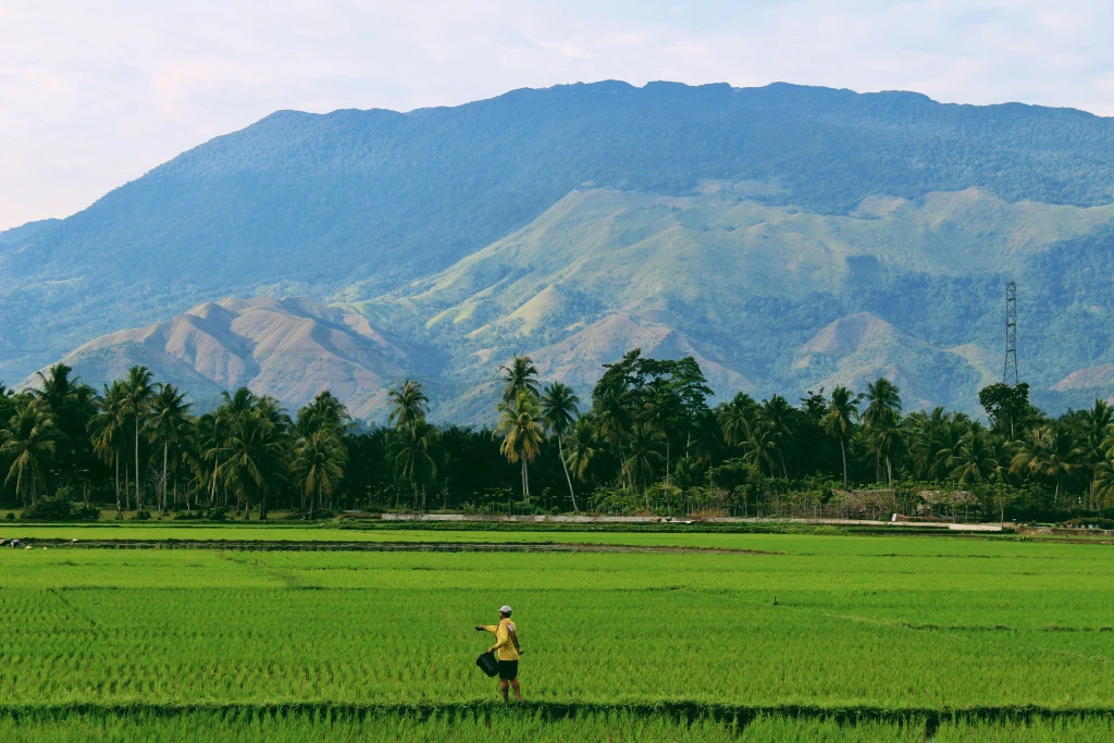 Adopt a Farmer with Evertreen: Transform Lives While Restoring the Planet