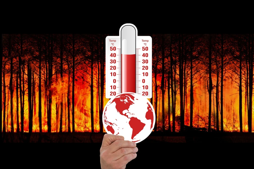 How Is Deforestation Impacting Global Warming and Climate Change?