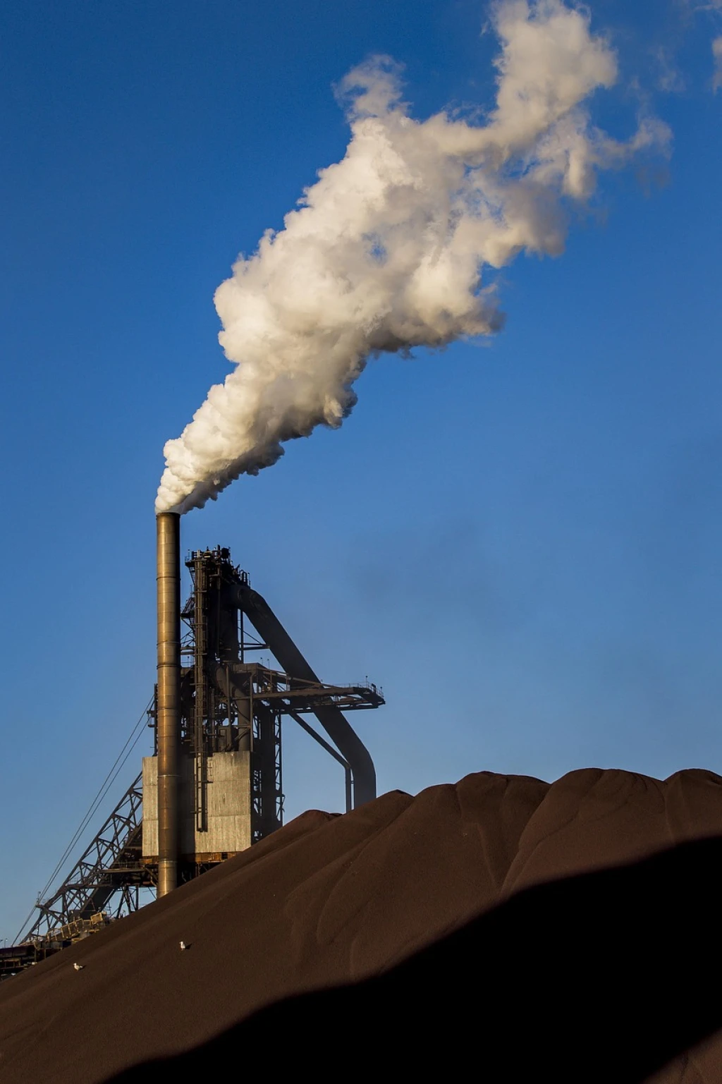 US Delaying Shipping Emissions Action-What’s the Environmental Impact?