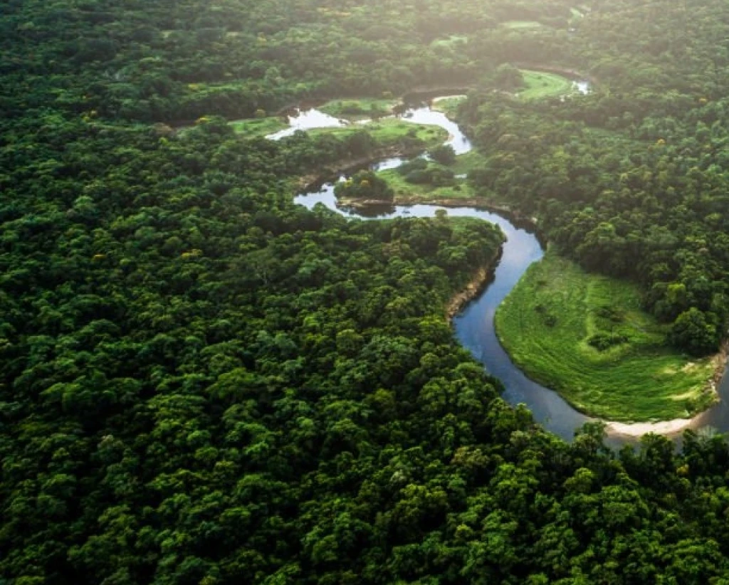 How Is Deforestation in the Amazon Impacting Climate Change?