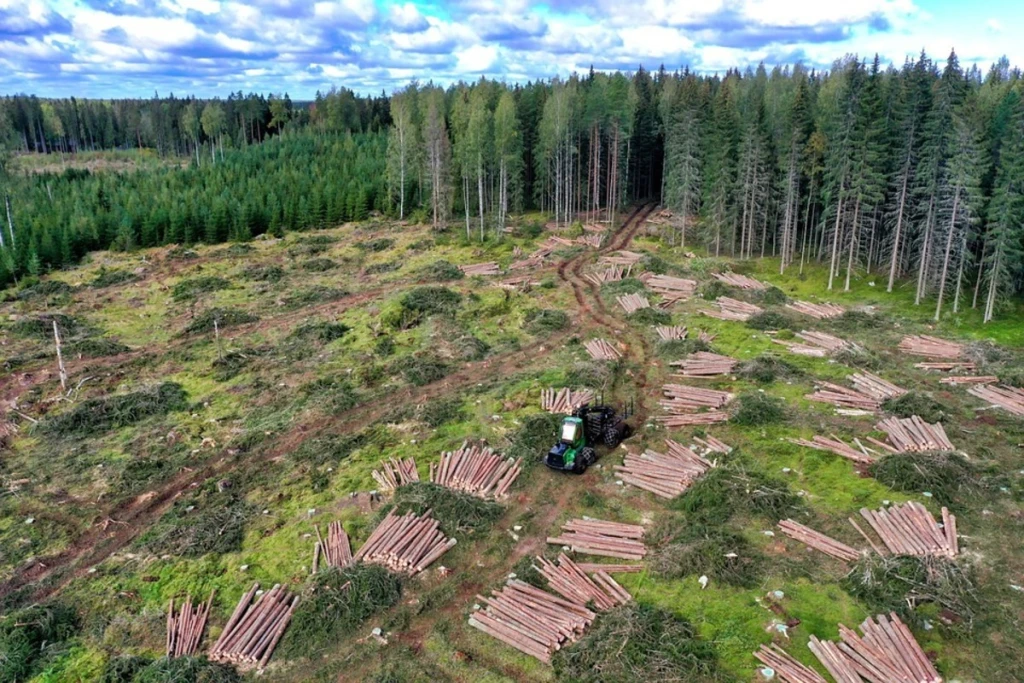 REDD+ and Forest Conservation: Tackling Climate Change