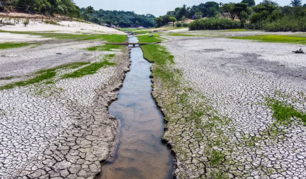 Water Crisis: The Global Water Bankruptcy and Its Environmental Impact