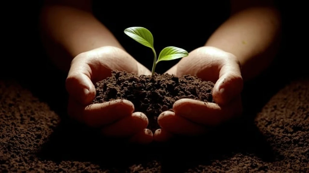 Tree Planting Platforms for Businesses