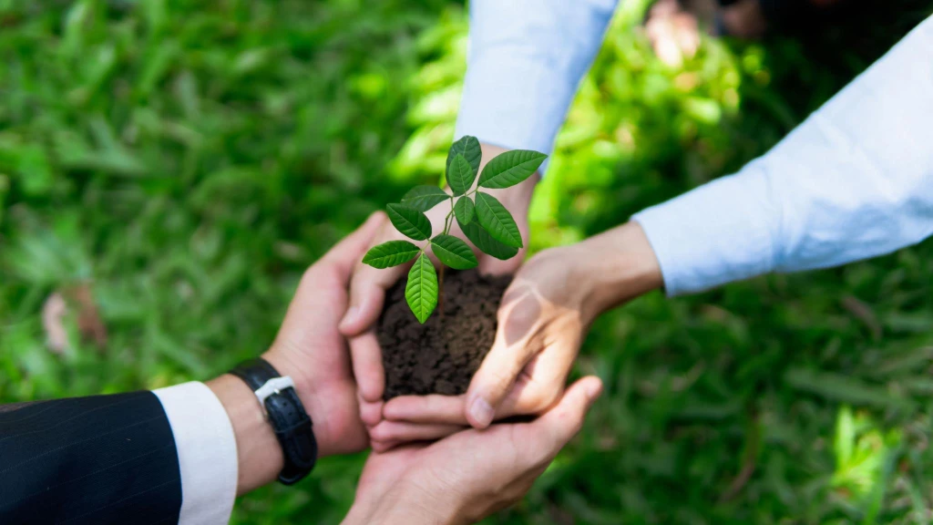 Digital Tree Planting Gains Corporate Attention