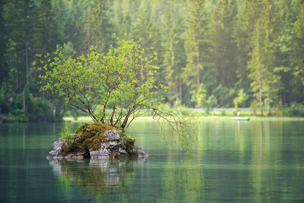 How Companies Use Evertreen to Strengthen ESG Goals