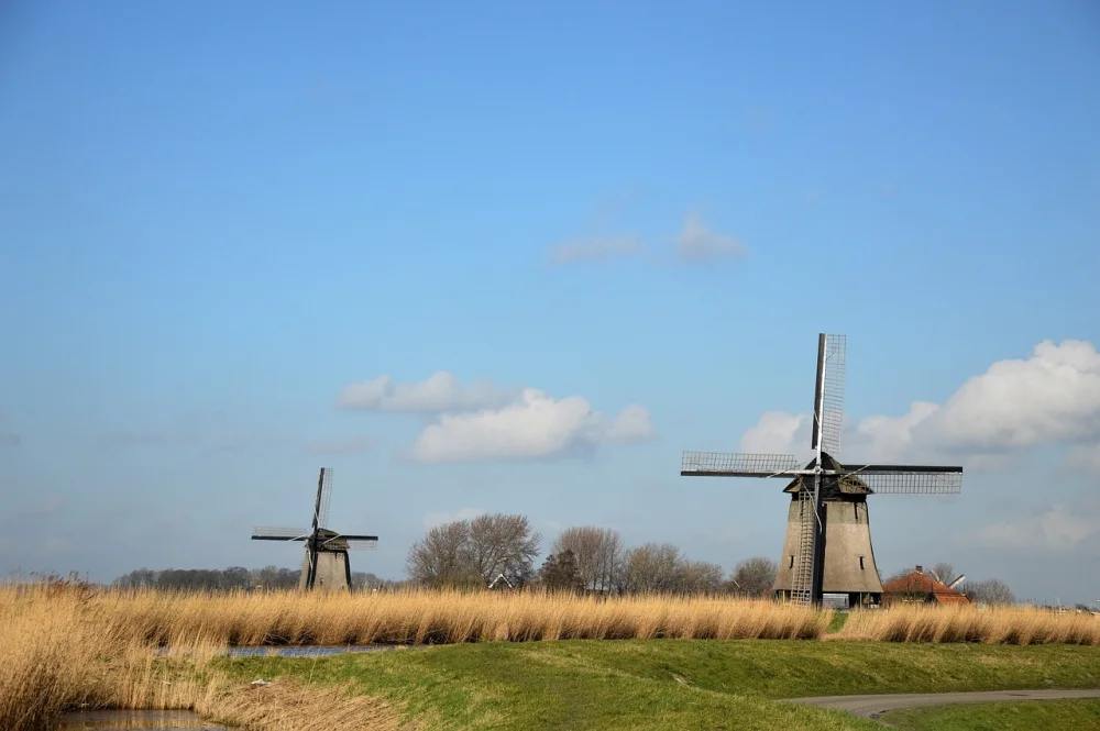 Are Carbon Offsets Greenwashing? How to Offset Credibly