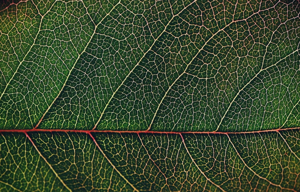 How to Calculate Your Personal Carbon Footprint