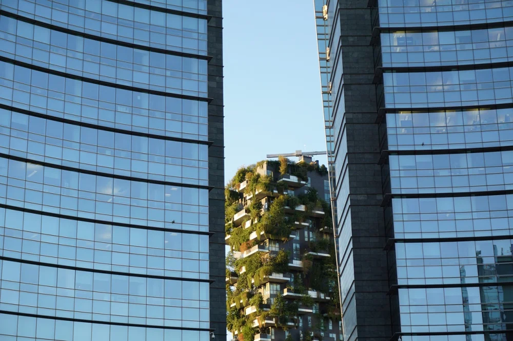 How to Reduce Your Carbon Footprint: A Practical Guide