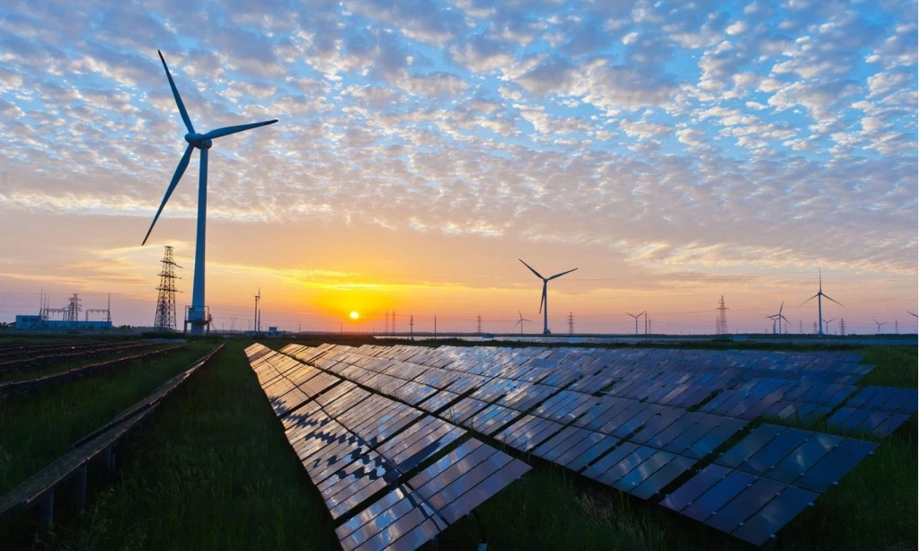 Carbon Neutral vs Net Zero: What's the Difference?