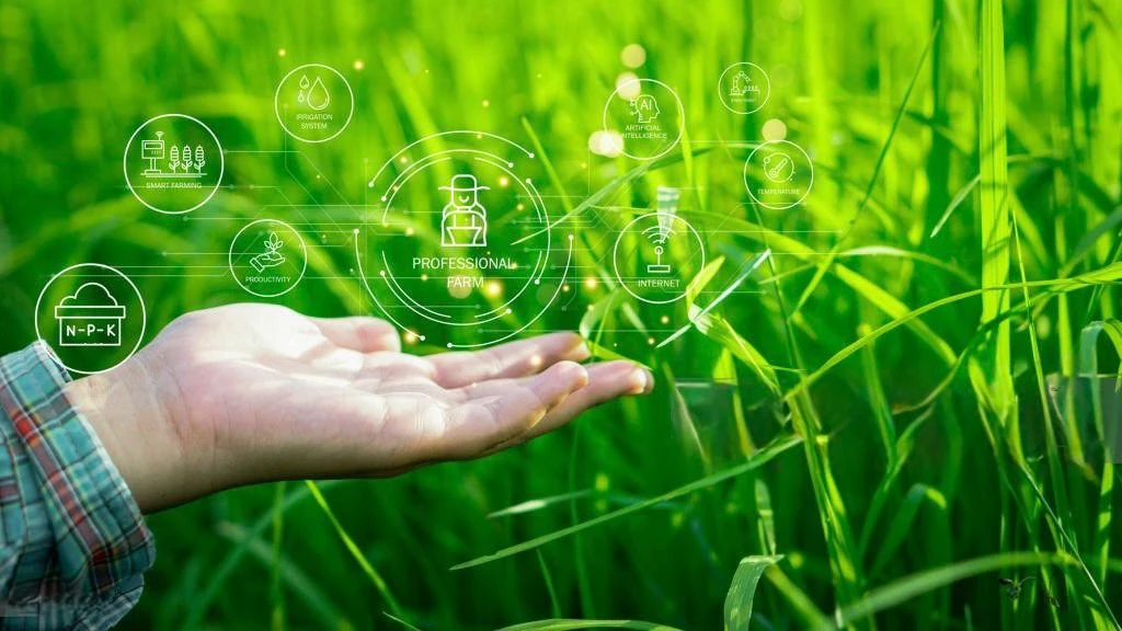 What Is the Average Carbon Footprint by Country?