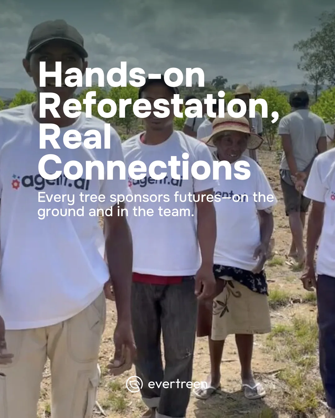 Why Trees Make the Best Corporate Gift: Impact Beyond the Office