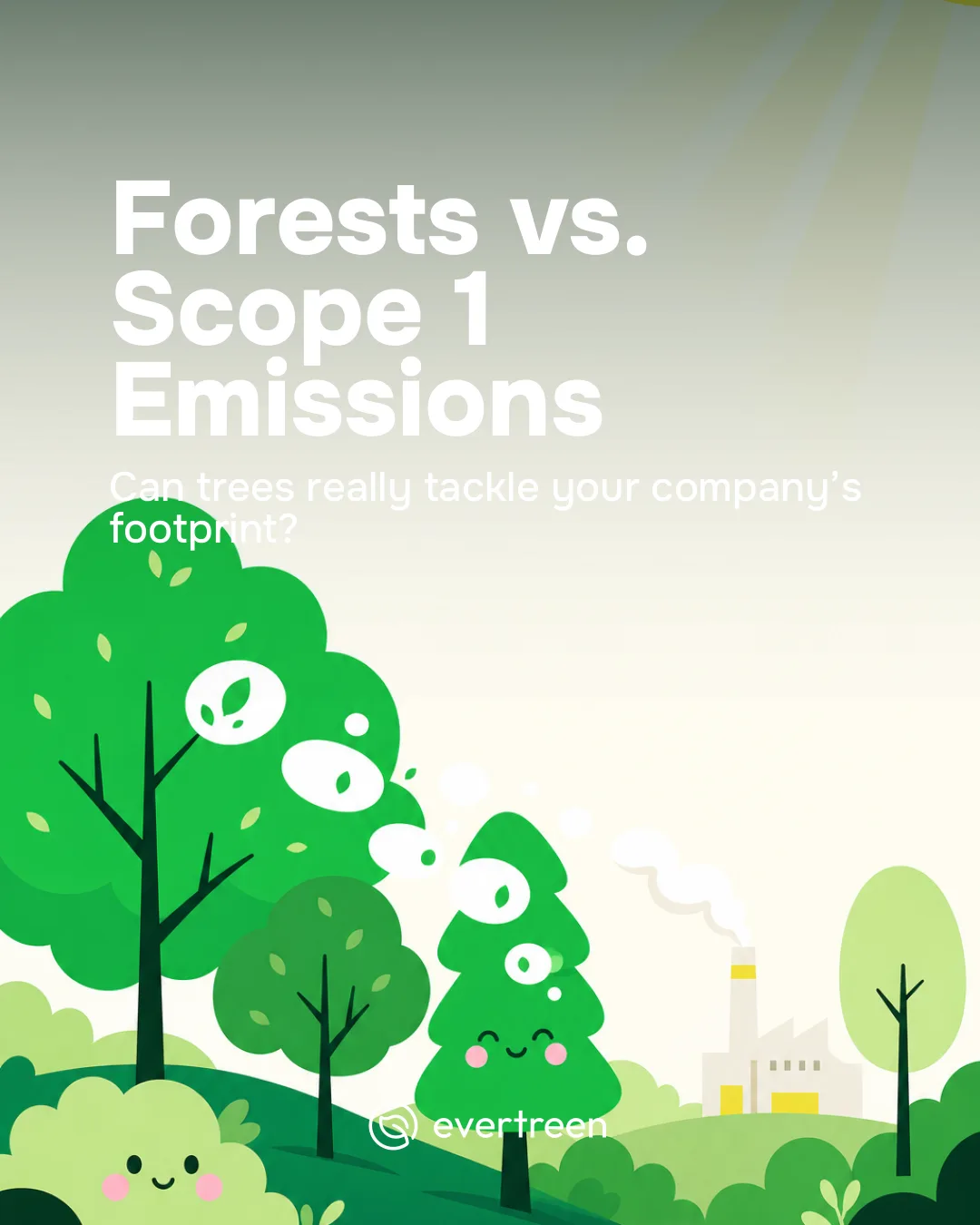 How Forests Support Scope 1 Emissions Offsetting for Companies