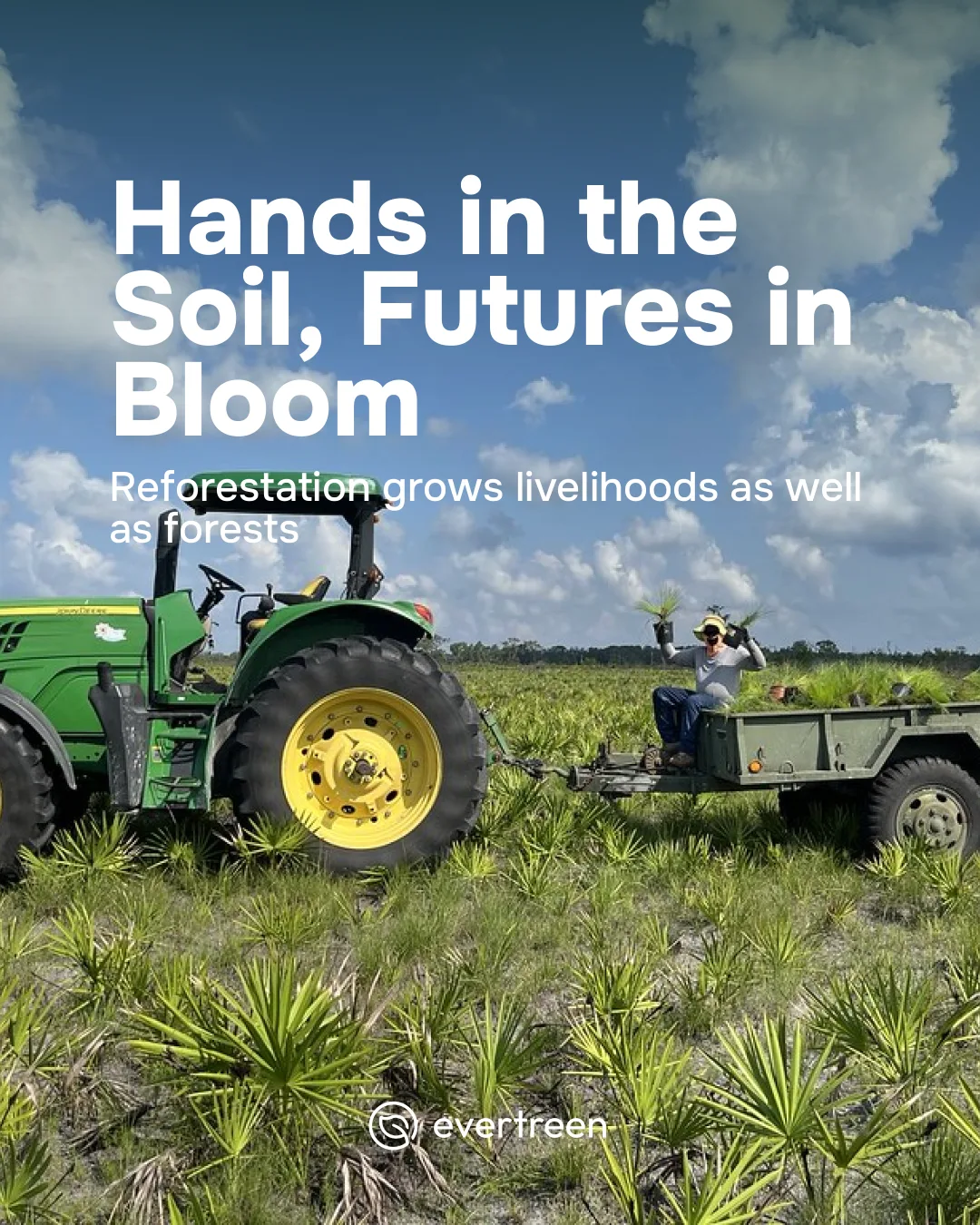 Corporate ESG Reporting and Reforestation: The Human Impact
