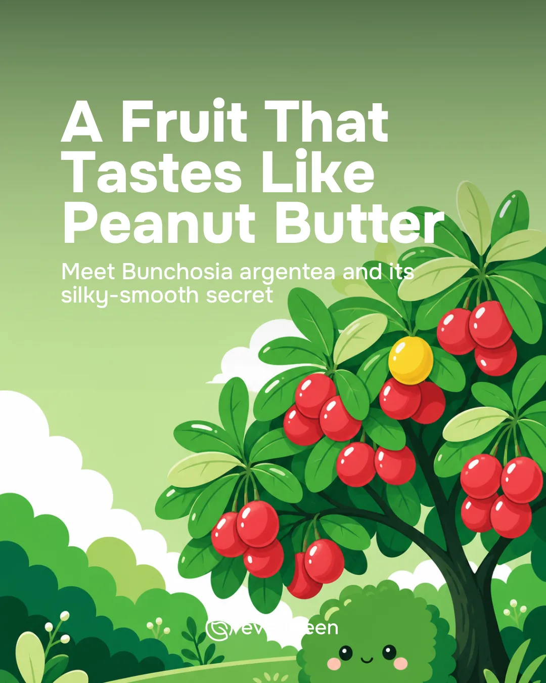 A flat vector illustration of a tropical Bunchosia argentea tree with shining red, oval peanut butter fruits, bold green leaves, and a playful round bush character looking delighted, with empty space in the top half for text.