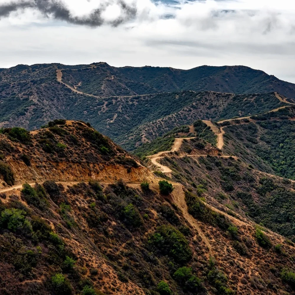 Reforestation in California reforestation project