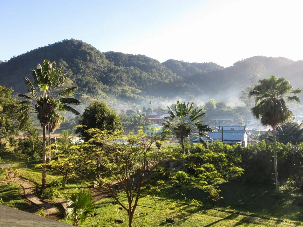 Reforestation in Madagascar reforestation project