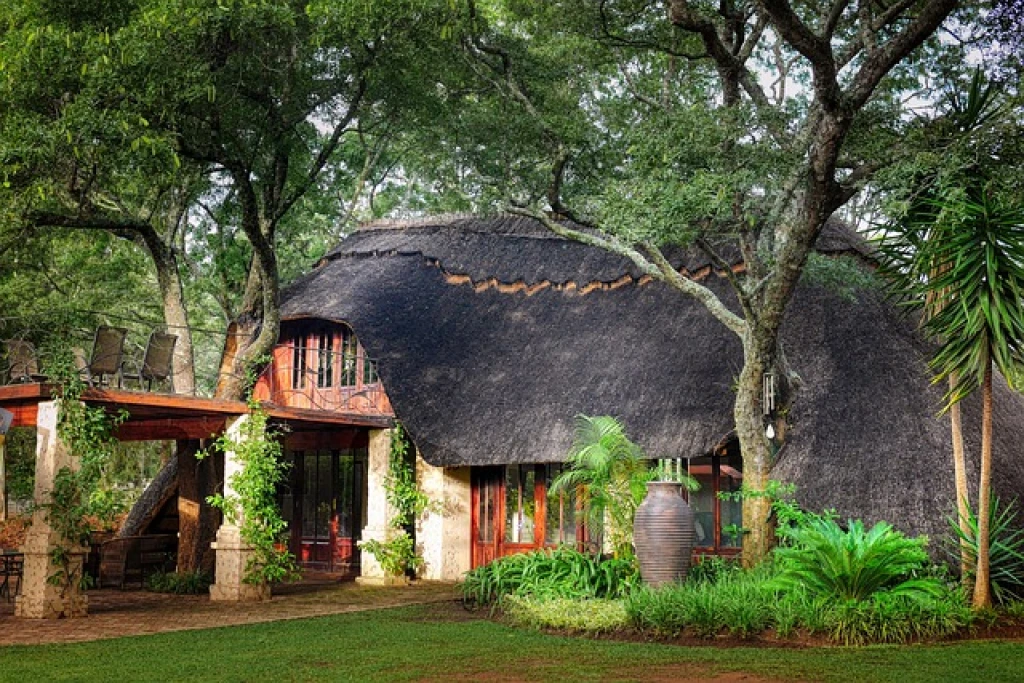 Restoration in Zimbabwe reforestation project