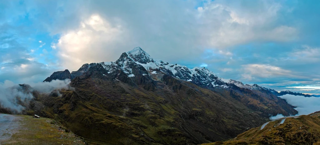 Restoration in Peru  reforestation project