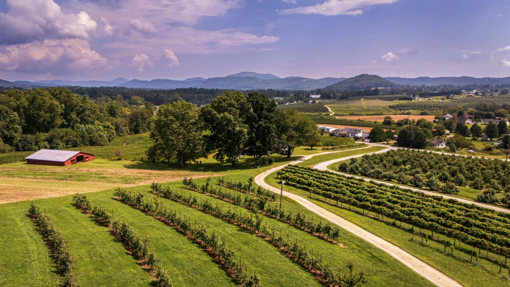 Restoration in USA North Carolina reforestation project