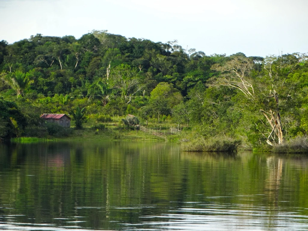 Restoration in Peru  — tree planting in Peru